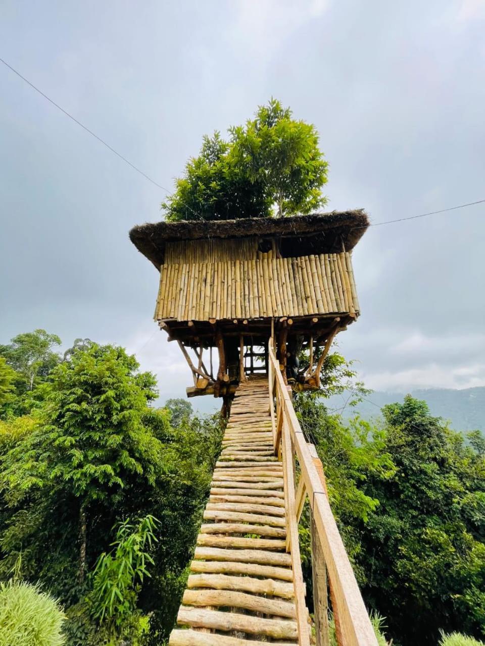 Palkulam Heights Villa Kumudi Exteriör bild